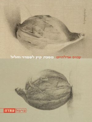 cover image of מסכת קיץ לסמדר וחליל